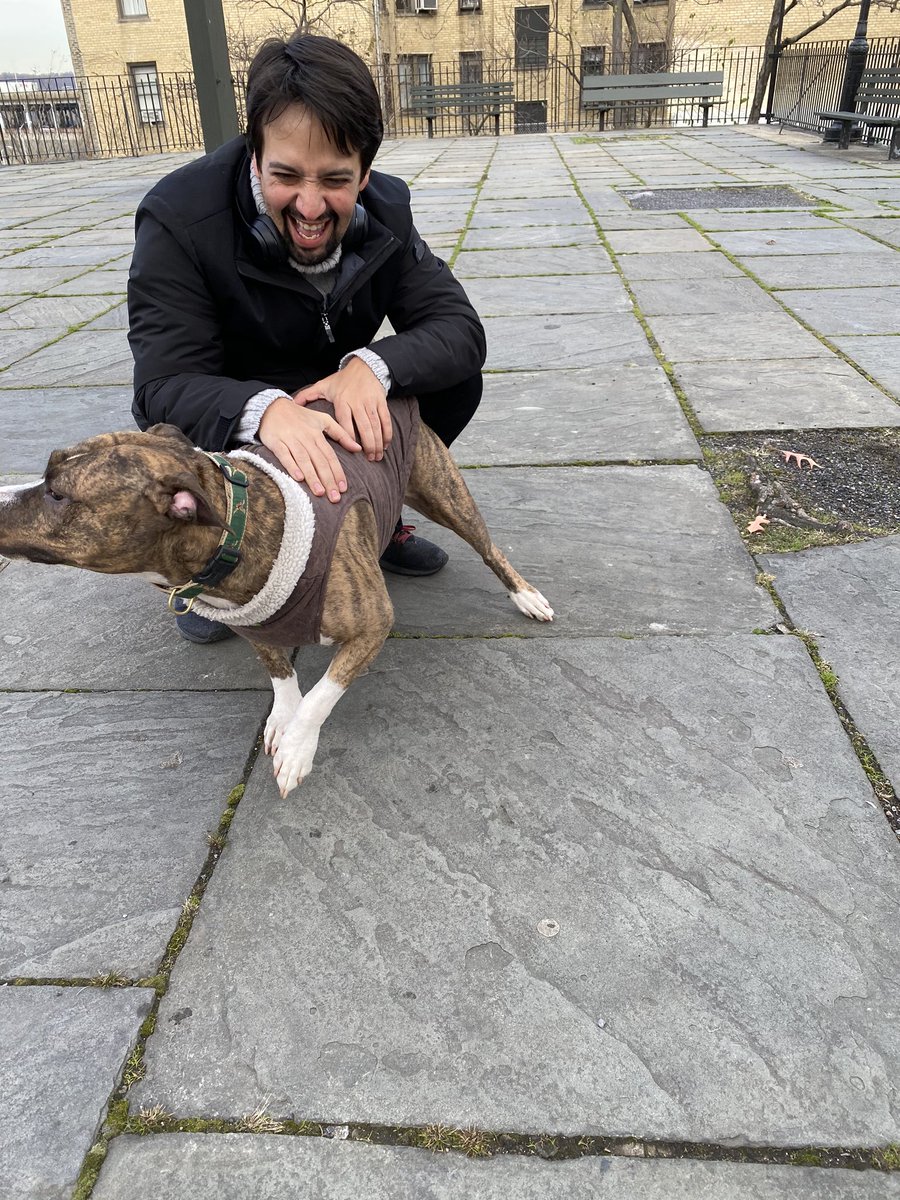 LMMthings_'s tweet image. Lin petting someone else's puppy