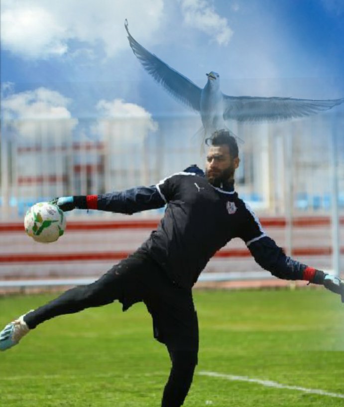 asmaaothman46's tweet photo. @mohmedabogabal دحنا بنطير مش اى حاجه يعنى 💪💪👏👏مبررروك فرحتونا عقبال افريقيا يا جبل كلنا ثقه فيك وفى كل رجالة الزمالك ❤💪 https://t.co/MeNFByzmzK