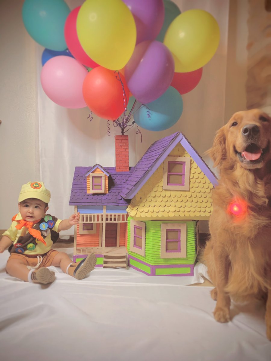 valeeriaaaa_'s tweet photo. UP to 7 months 🏠 🎈 💛 https://t.co/gxdWzZIken