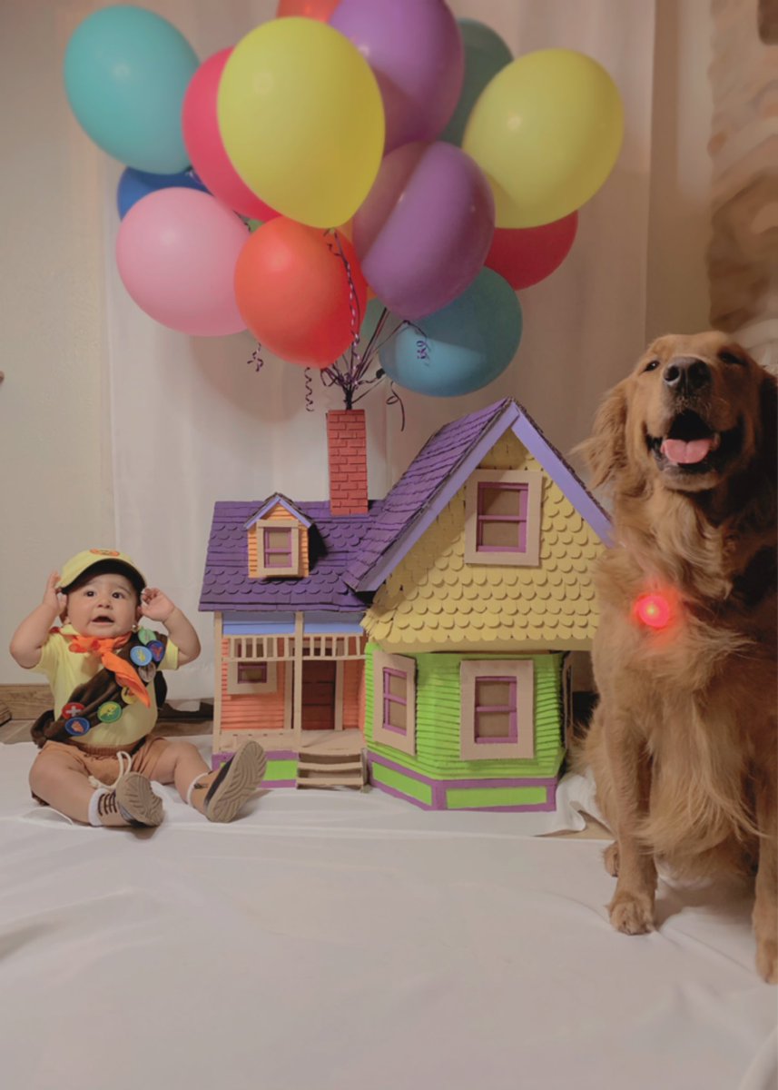 valeeriaaaa_'s tweet photo. UP to 7 months 🏠 🎈 💛 https://t.co/gxdWzZIken