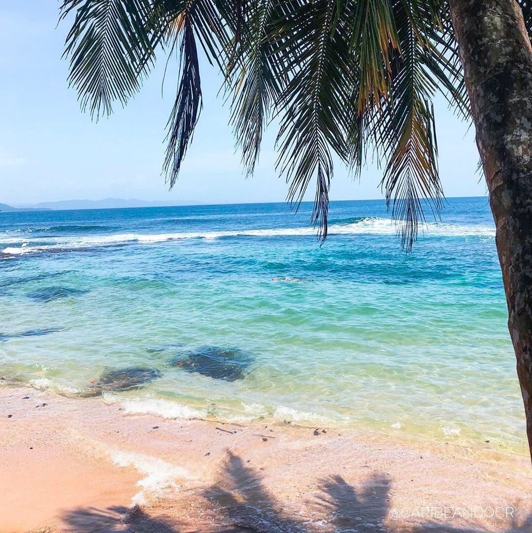 Mentalmente estamos en Punta Uva. 😍🏝

📸 @ caribeandocr #hikingtourscr