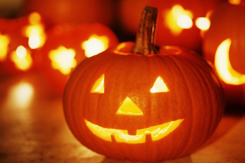 With the holiday season coming up, City Lights Collectibles on Morena Blvd. has every decoration to spice up your place and create a spirit of festivity!
#Decorations  #CityLightsCollectibles  #Halloween