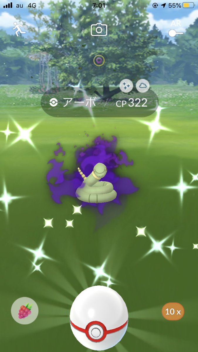 色違いシャドウポケモン 色違いシャドウポケモン