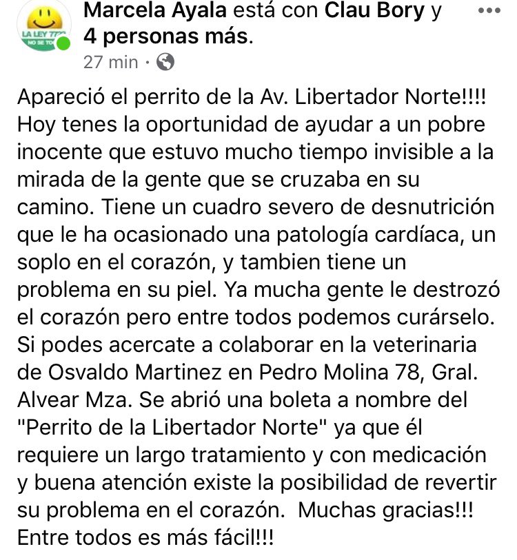 amiguitosdexahi's tweet photo. este perrito necesita de tu ayuda!!
Colaborá con dinero o compartiendo!
Gracias ❤️ https://t.co/j3mGLghOHy