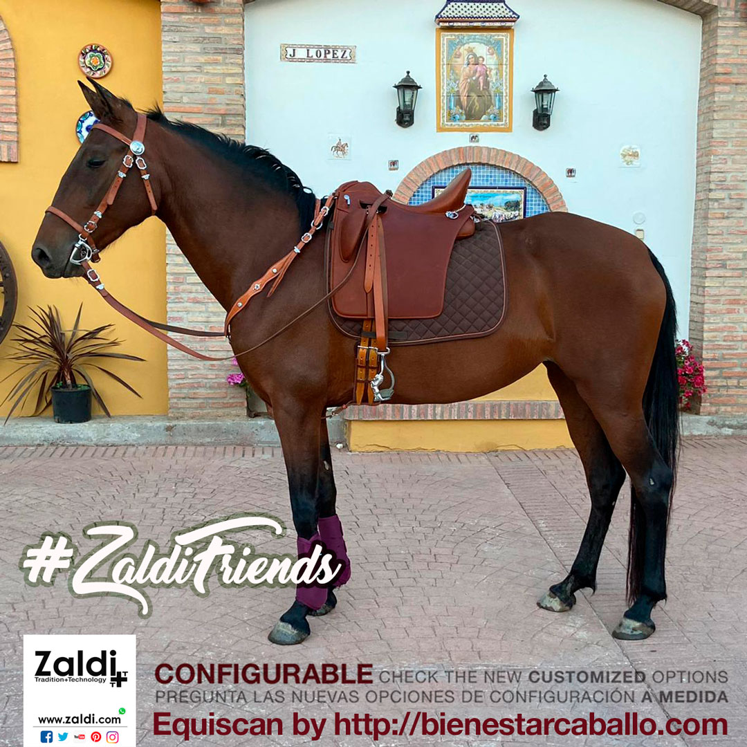 Zaldihipica's tweet photo. Today in #ZaldiFriends: Monti PRE with the DRIM LUSITANUS, a Zaldi dressage-portuguese saddle made with special #Equiscan horse measurement by Susanne Nagel https://t.co/QuJg5BzDDt
🇺🇸US online Shop https://t.co/EvjinTJo5x
Create the saddle of your dreams.
#4Sep #wearesaddlers https://t.co/qWDzvOVIdL