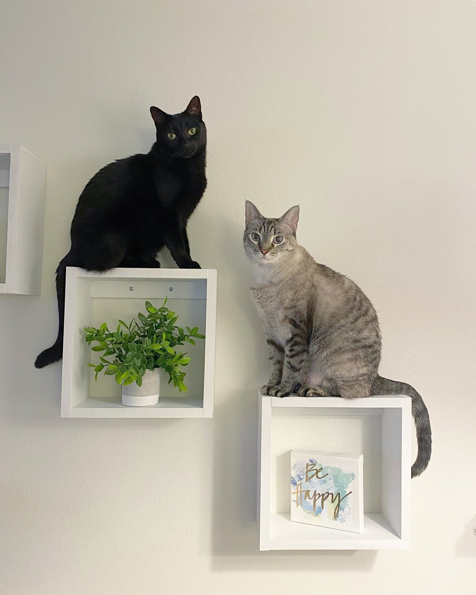 Thomas Duebner, M.Ed. tweet media