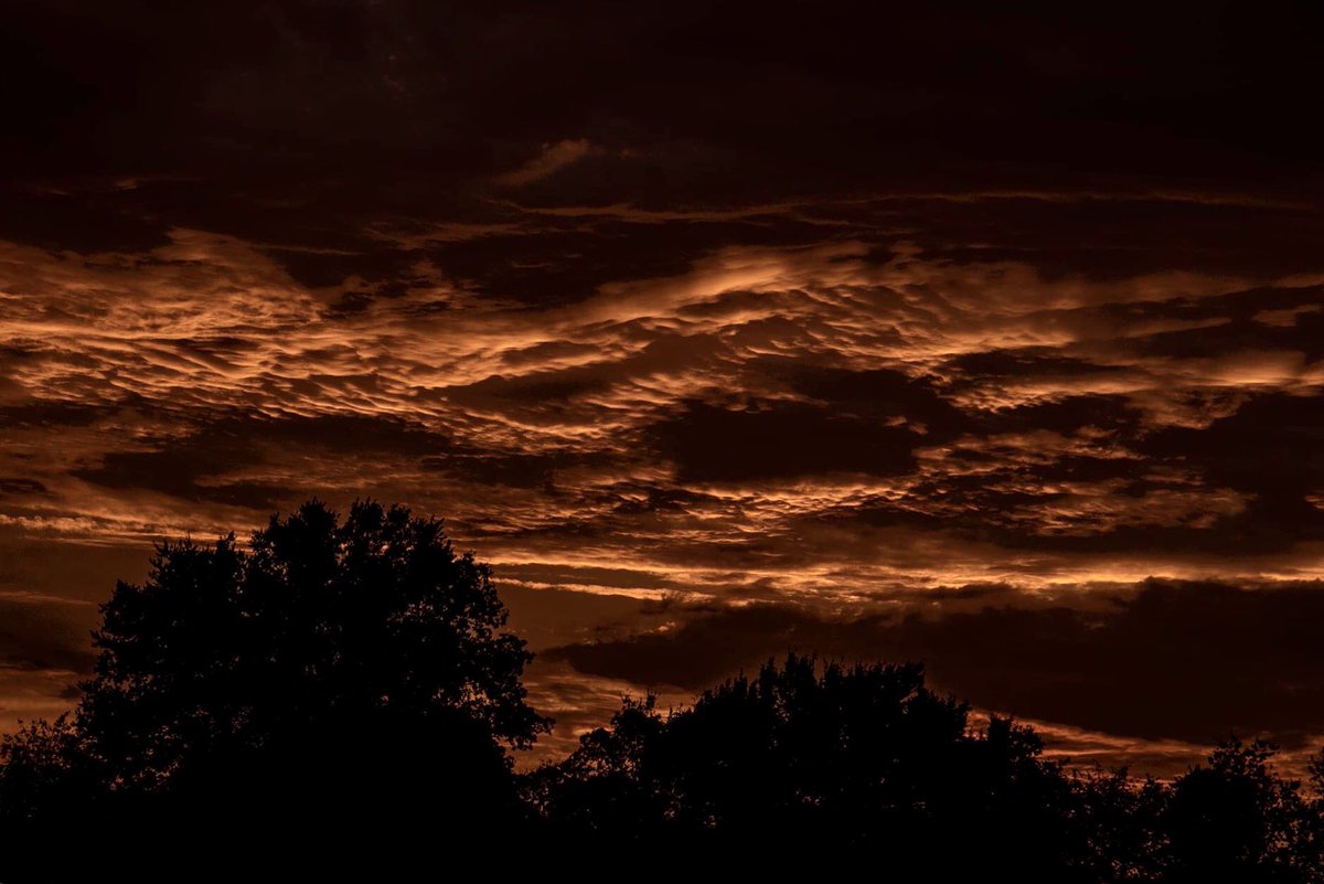 Ronnie Prcin tweet media