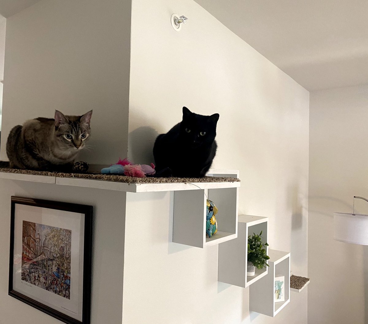 Thomas Duebner, M.Ed. tweet media