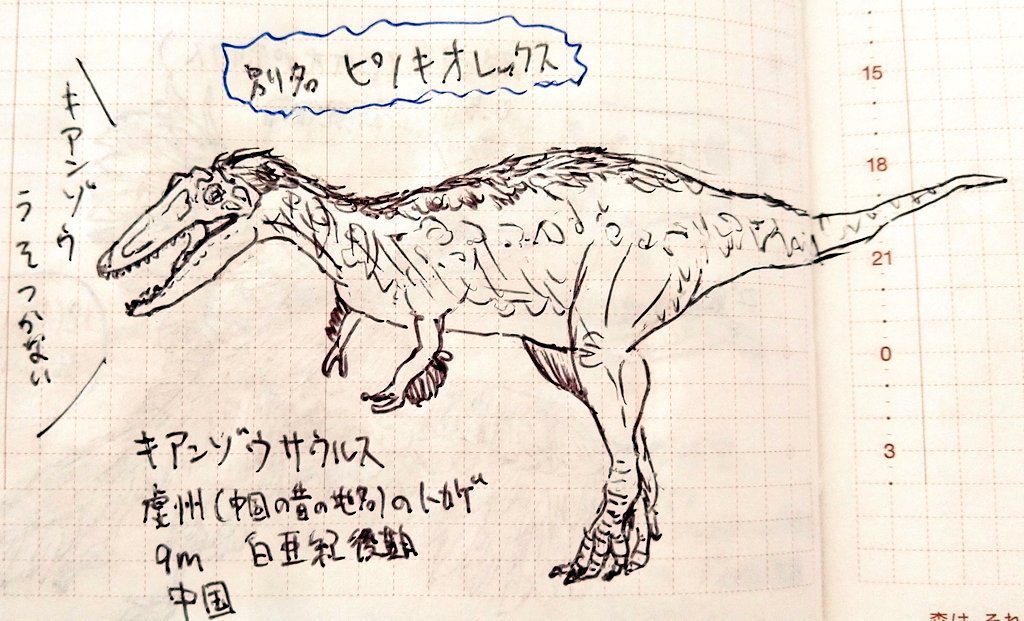 Y Onozuka 恐竜チャレンジ 101日目 キアンゾウサウルス 中国の昔の地名が名前の由来 鼻とあごの長さに特徴があったため別名 ピノキオ レックス とも呼ばれている ティラノの仲間だけど歯が薄くて魚系を食していたとのこと やっぱりアジアは白亜紀