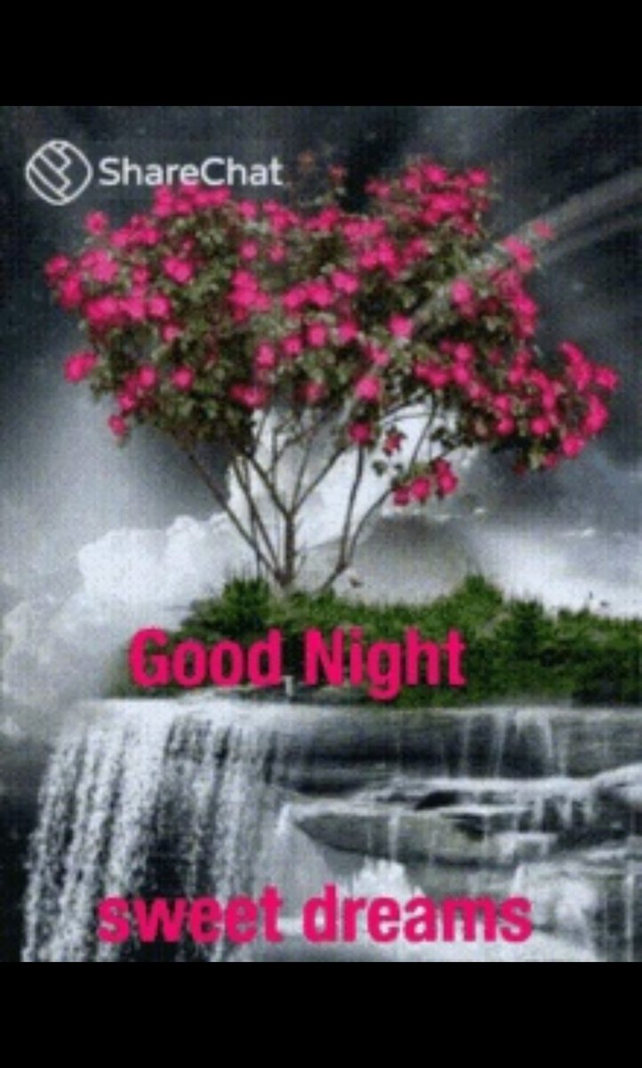 thelma968aolcom's tweet photo. #BeKindAlways #makesomeonesmile https://t.co/m7zhNihwOO