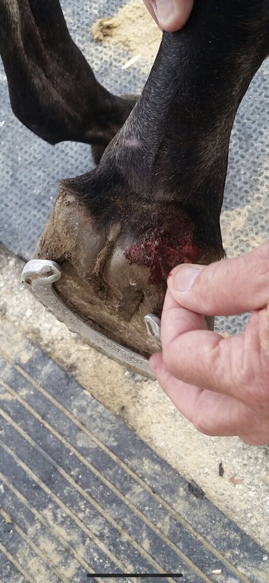 Kenny McPeek tweet media