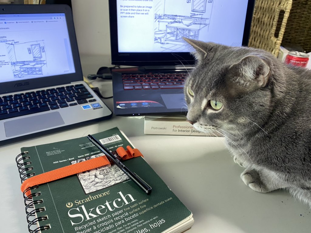 lisahfitz's tweet photo. My teaching assistant today - couldn’t do this without him - @NOVAcommcollege #InteriorDesign #CatsOfTwitter #DrWatson #zoomclass #ProfFitz https://t.co/RnTJMIrgLP