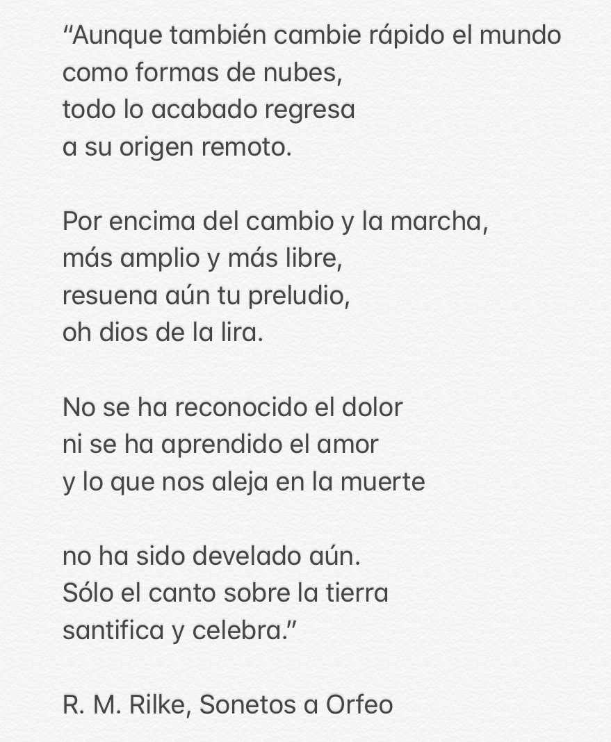 JavieraQuevedo's tweet photo. 🌟 https://t.co/0m1YXDAvh9