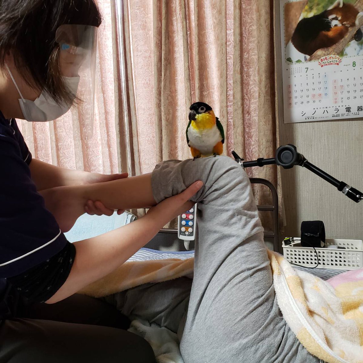 puyoko710's tweet photo. じゃまするよー https://t.co/bRv8sAiCev