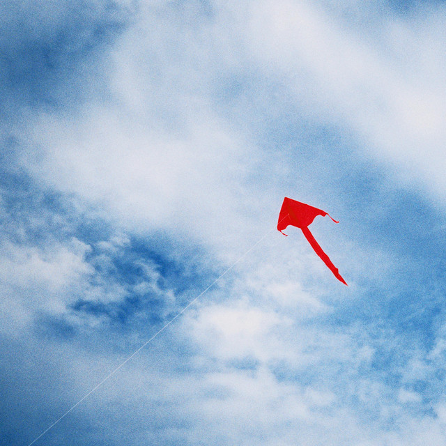 acid stag tweet media