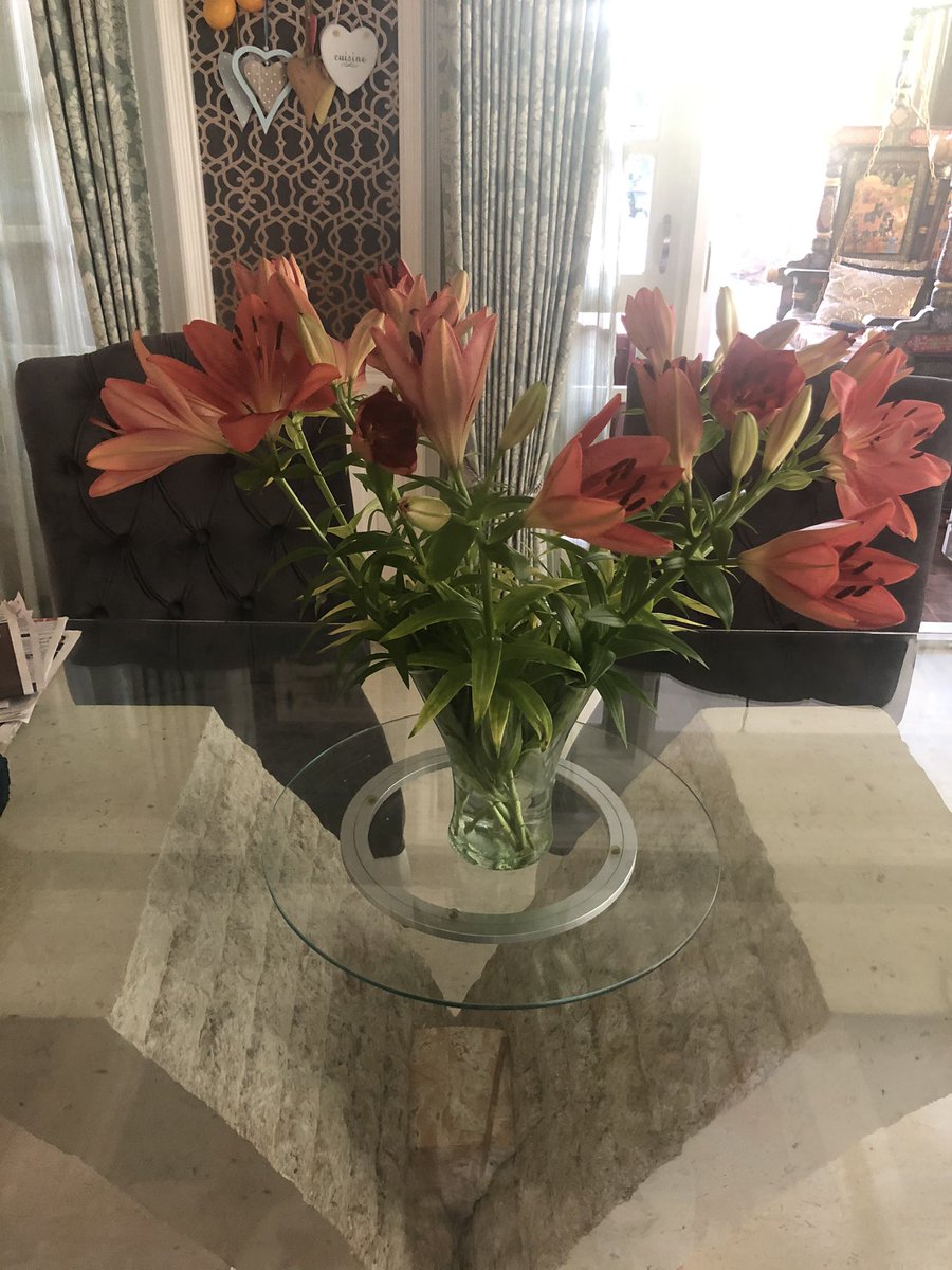 DrRamyaMohan's tweet photo. Nature’s bounty fills homes and hearts with its incredible, distinctive fragrance - joie de vivre! #smalljoysoflife #weekendisnearlyhere #FridayMotivation #fridaymorning #FridayThoughts #सुप्रभात #weekendvibes #weekendsunshine https://t.co/R55uj3hnaY