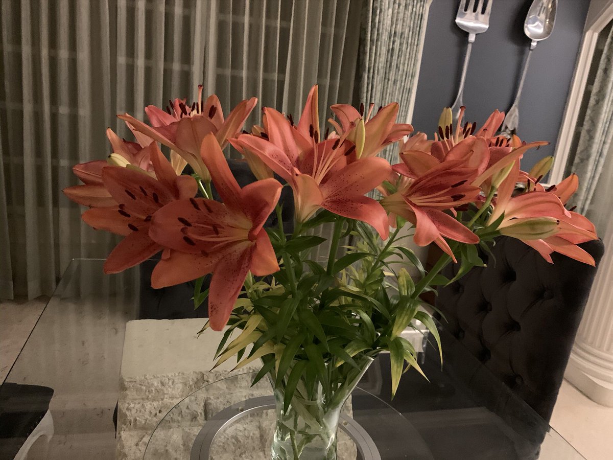 DrRamyaMohan's tweet photo. Nature’s bounty fills homes and hearts with its incredible, distinctive fragrance - joie de vivre! #smalljoysoflife #weekendisnearlyhere #FridayMotivation #fridaymorning #FridayThoughts #सुप्रभात #weekendvibes #weekendsunshine https://t.co/R55uj3hnaY