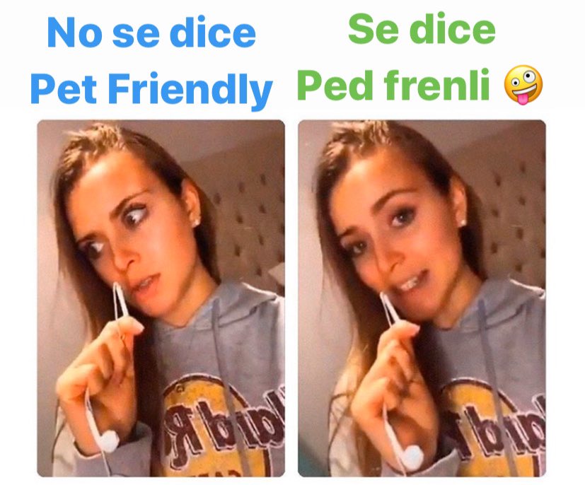 MexPetFriendly's tweet photo. Pet Friendly: Se dice como tú quieras, es un término globalizado y en todas partes significa “Perros bien portados bienvenidos en todos lados” #NoSeDice #PetFriendly #Perros #mexico #mty #SPGG https://t.co/1zqeOFRTds