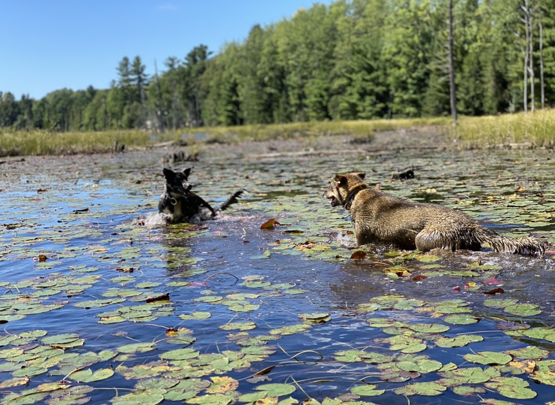 The mud was cold and stinky.