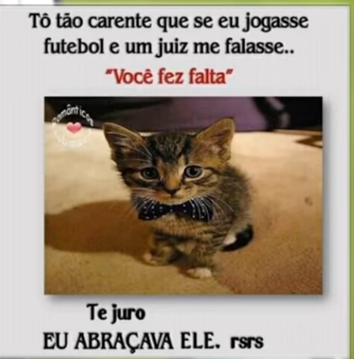 Antrtida10 tweet picture