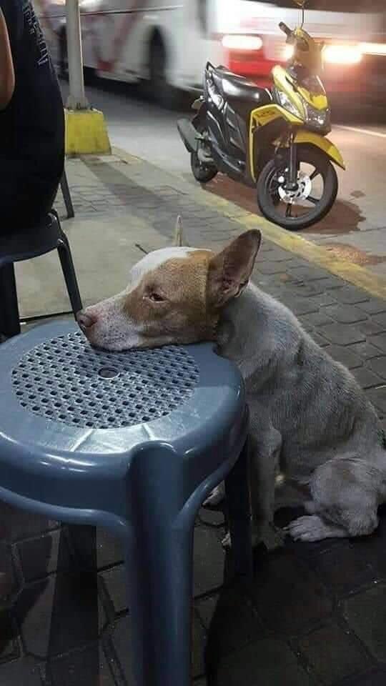 SuavesLomitos's tweet photo. Qué feo es tener hambre y no poderlo decir 😩 https://t.co/sxJe37WQBQ