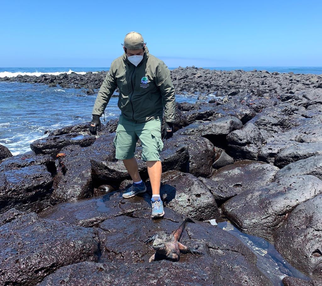 ZENITHTRAVEL1's tweet photo. After a long monitoring of the marine iguana community 🦎🦎 it was possible to prove the good state of health 👏🏻
.
.
.
.
.
.
#ZenithTravel #ZenithEcuador #information #blog  #Archipelago #IslasGalapagos #TePrometoEcuador #PrimeroEcuador #DiscoverEcuador #WelcomeToEcuador https://t.co/68oFgrT4IZ