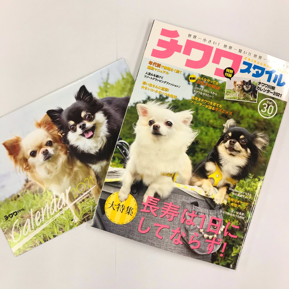 Shi Ba シーバ 犬びより 本日 チワワスタイル Vol 30発売 長寿チワワさんを取材したり 専門家のアドバイスが満載です 21年に使える 川柳カレンダー も 付録 でついてきます T Co E79joto3bh チワワ Chihuahuastyle Chihuahua