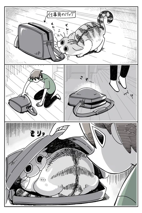 バッグに入るネコ
https://t.co/YUFuhWHYZr 