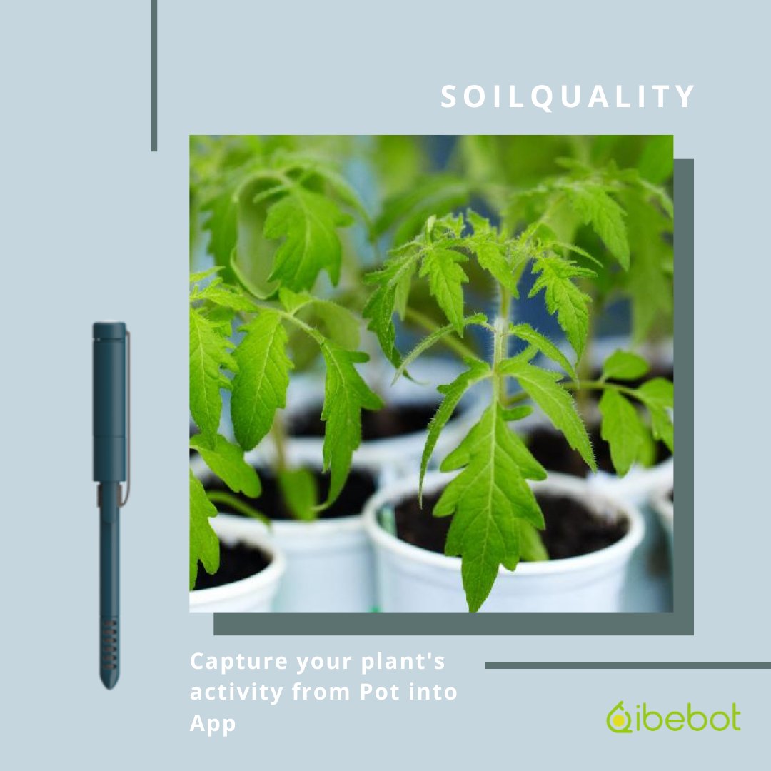 ibebot_hk's tweet photo. Capture your plantβs activity from pot to App with #soilquality π±π‘π
#soil #moisturesensor #nutrientsensor #lightsensor #iot #iotsolutions #connecteddevices #aircomfort #indoorplants #indoorgarden #ibebot
Follow us on Instagram: @ibebot_hk https://t.co/yVXZZ6zuA7