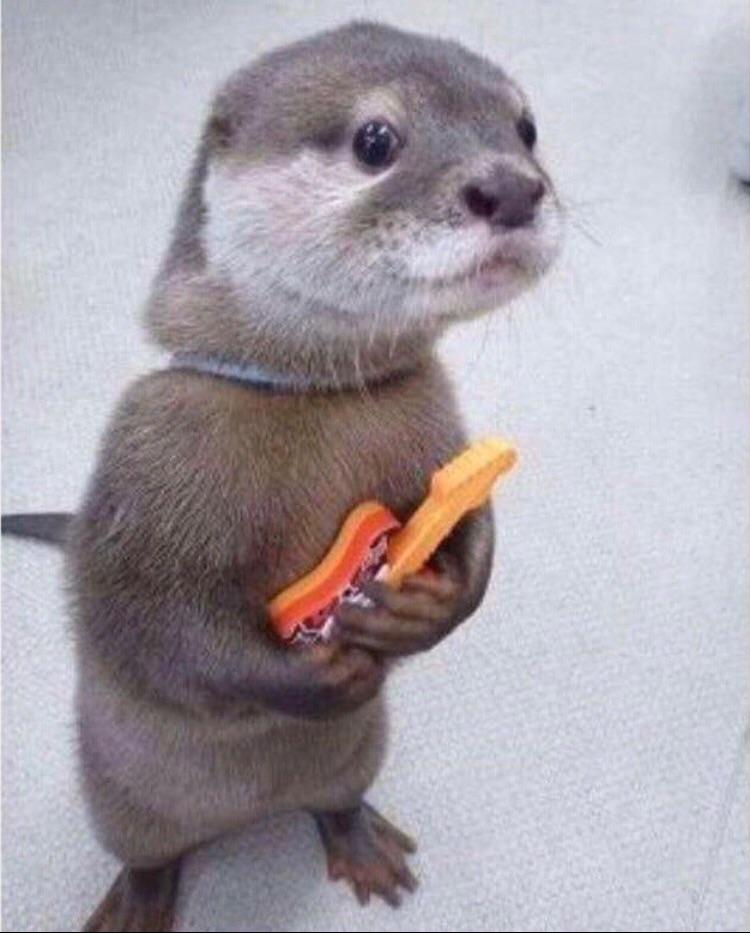 🦦