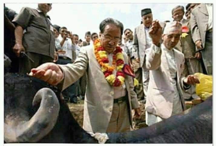 LiveBusinessGr1's tweet photo. @bishnurijal1 Jaya hos sabaiko .... https://t.co/2T13yc64hl