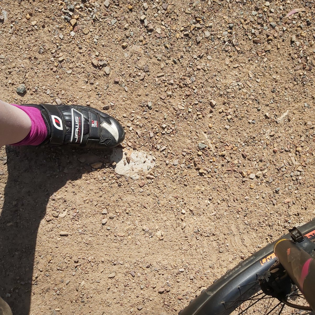Rickard_Scott's tweet photo. A perfect day for #cycling in #Canberra π΄ββοΈπ΄ββοΈ Down for cuppas in #Dickson and a ride back up into #Belconnen No #magpie swoops! ππ #cyclinglife #Spring #UniteToFightCancer #PeterMacCC https://t.co/I01oXITrqv