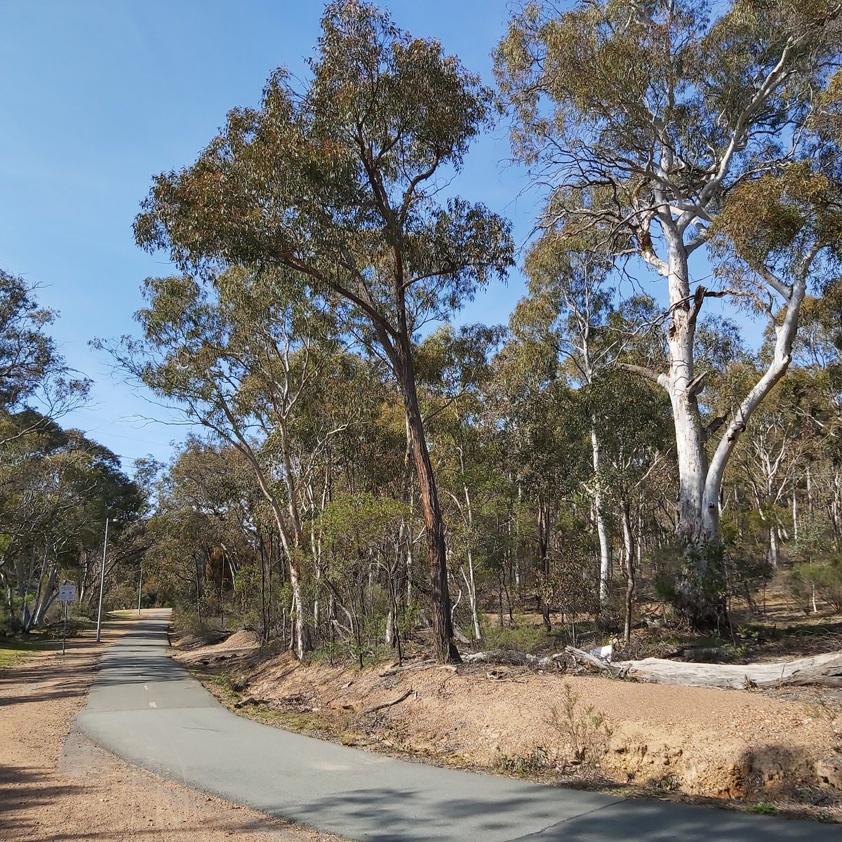Rickard_Scott's tweet photo. A perfect day for #cycling in #Canberra π΄ββοΈπ΄ββοΈ Down for cuppas in #Dickson and a ride back up into #Belconnen No #magpie swoops! ππ #cyclinglife #Spring #UniteToFightCancer #PeterMacCC https://t.co/I01oXITrqv