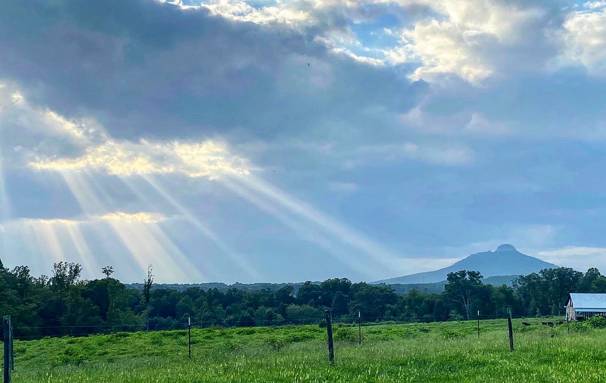 B_Gordon's tweet photo. Take me home country road. The sunlight breaking through was so beautiful, I had to stop and take a bunch of pics. #pilotmountain @PilotMountain @ourstatemag @TimBuckleyWX @weatherchannel @StokesCountyNow https://t.co/Uv2wjfJEuo