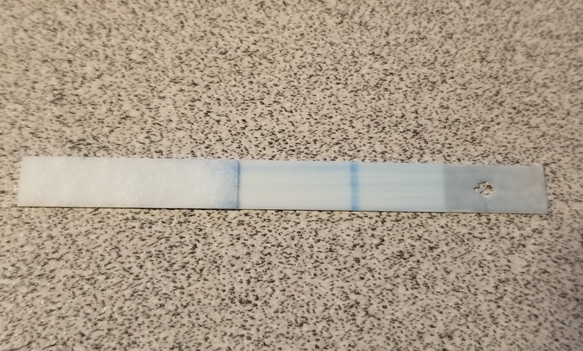 I dunked one in water (PLAIN WATER! I DIDN'T PEE ON IT, I PROMISE) and this is how it looks after about 5 minutes.A little more transparent, and with a single blue line.