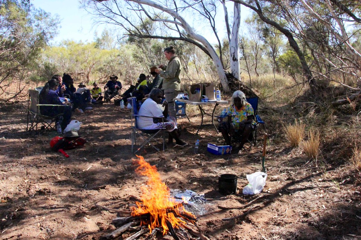 Science_DBCA's tweet photo. Last week scientist @Judy_Dunlop and PhD student @Harryymoore were working on Tharra and Karnparnmana country (Woodstock-Abydos Protected Reserve) with Budadee Indigenous Rangers, setting up survey sites for northern quolls and other threatened species. #WildOz #scienceourWA https://t.co/VSxBHphUCy