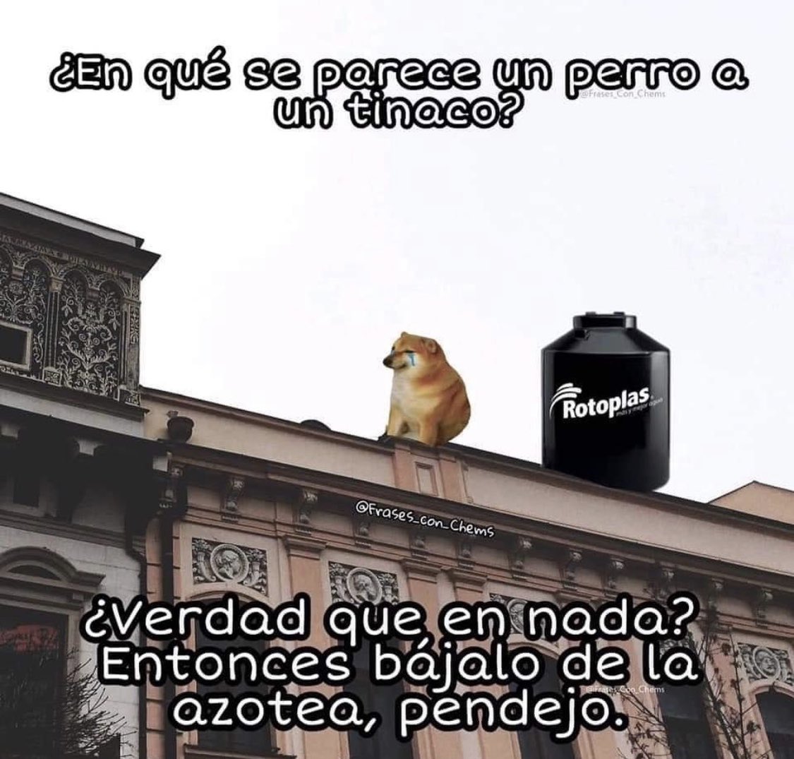 SuavesLomitos's tweet photo. https://t.co/FBE7cMab5b