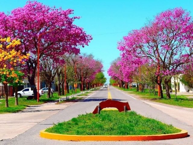 HillaryMejiaD's tweet photo. Lo más bello en un sólo mensaje. https://t.co/JA1Pjgd7hH