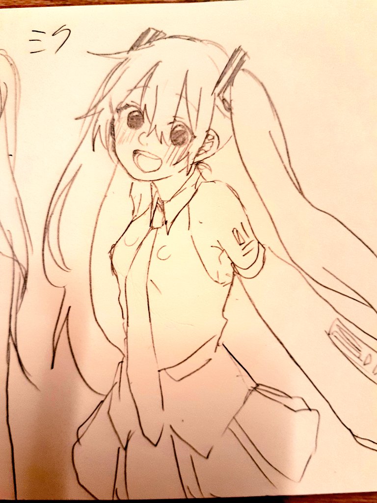 ミクさん 