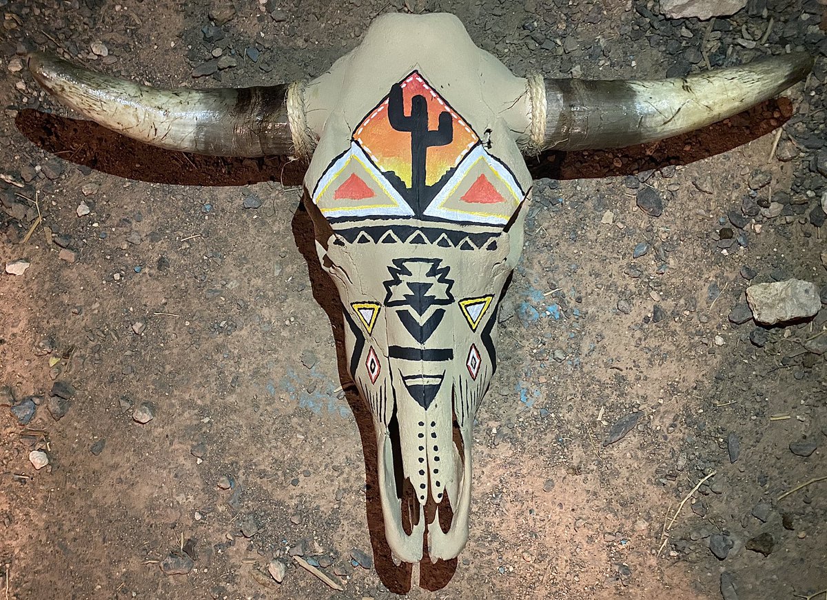 cherokee_art's tweet photo. Hand painted skull for sale! https://t.co/6NZQffzmFP