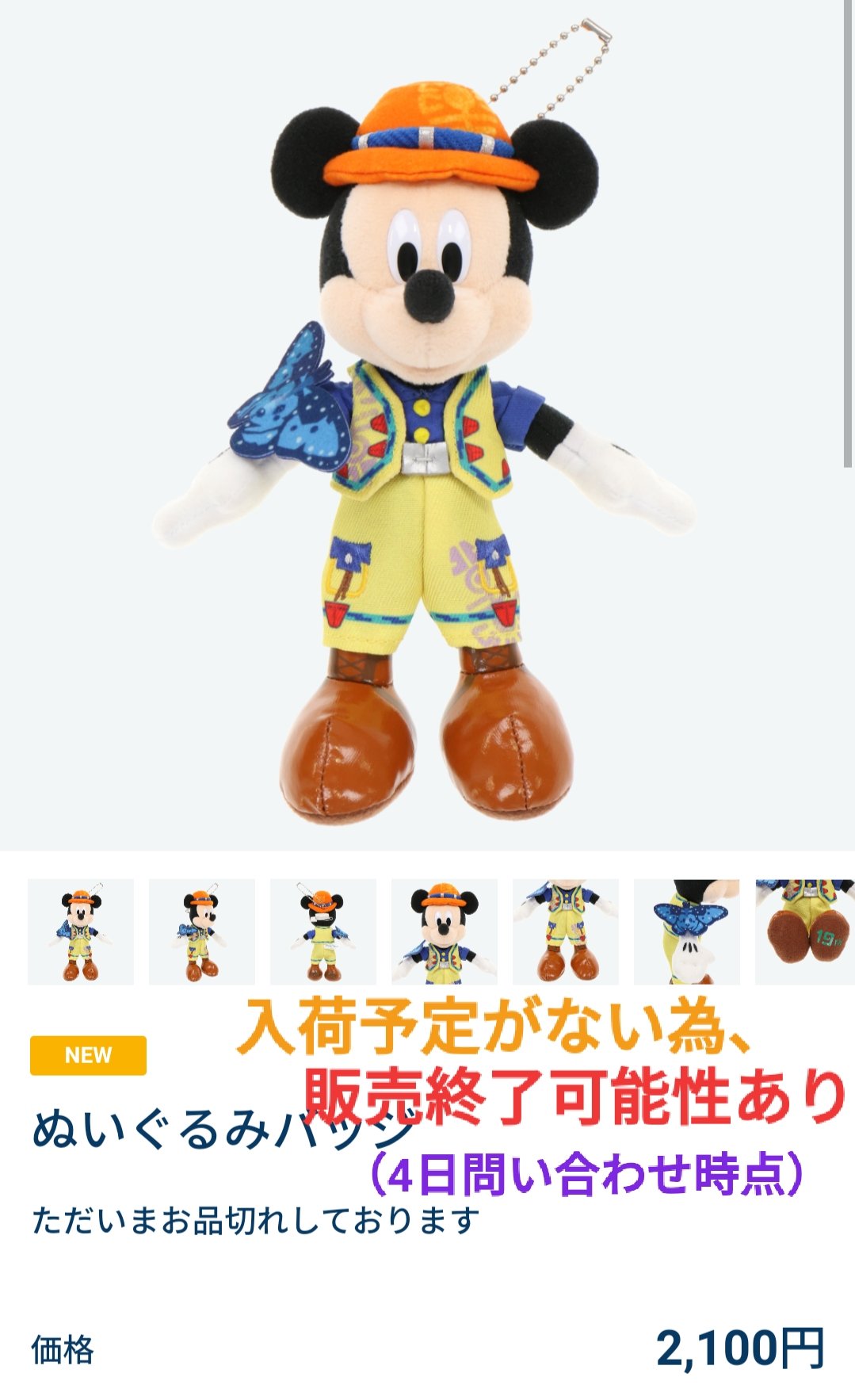 トレミキ ぬいば TDR ディズニー ぷらん on X: