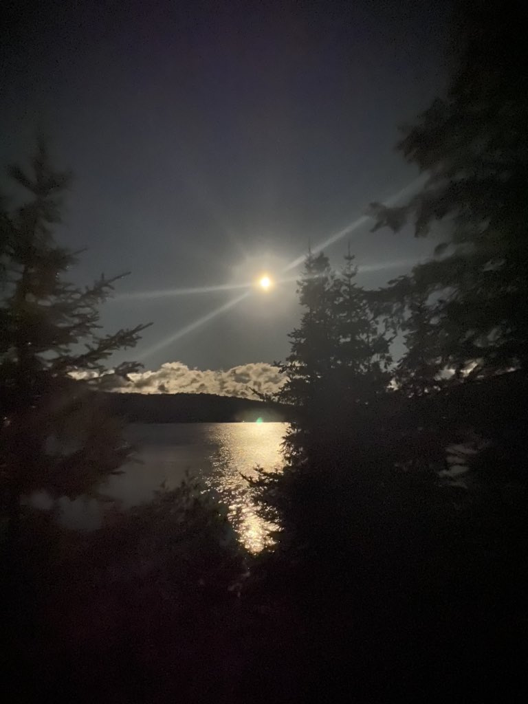 AndrewG55897678's tweet photo. We are full of gratitude! While out for a paddle, we took a fantastic call. My pal and I will be staying at OPC for one more year! Thank you LPS and OPC! #grateful #veh🇨🇦 #servicedog #servicedogsofinstagram #leadershipmatters #policeinstructor #veteranowned @EhHeroes https://t.co/0ohiVBSvBX