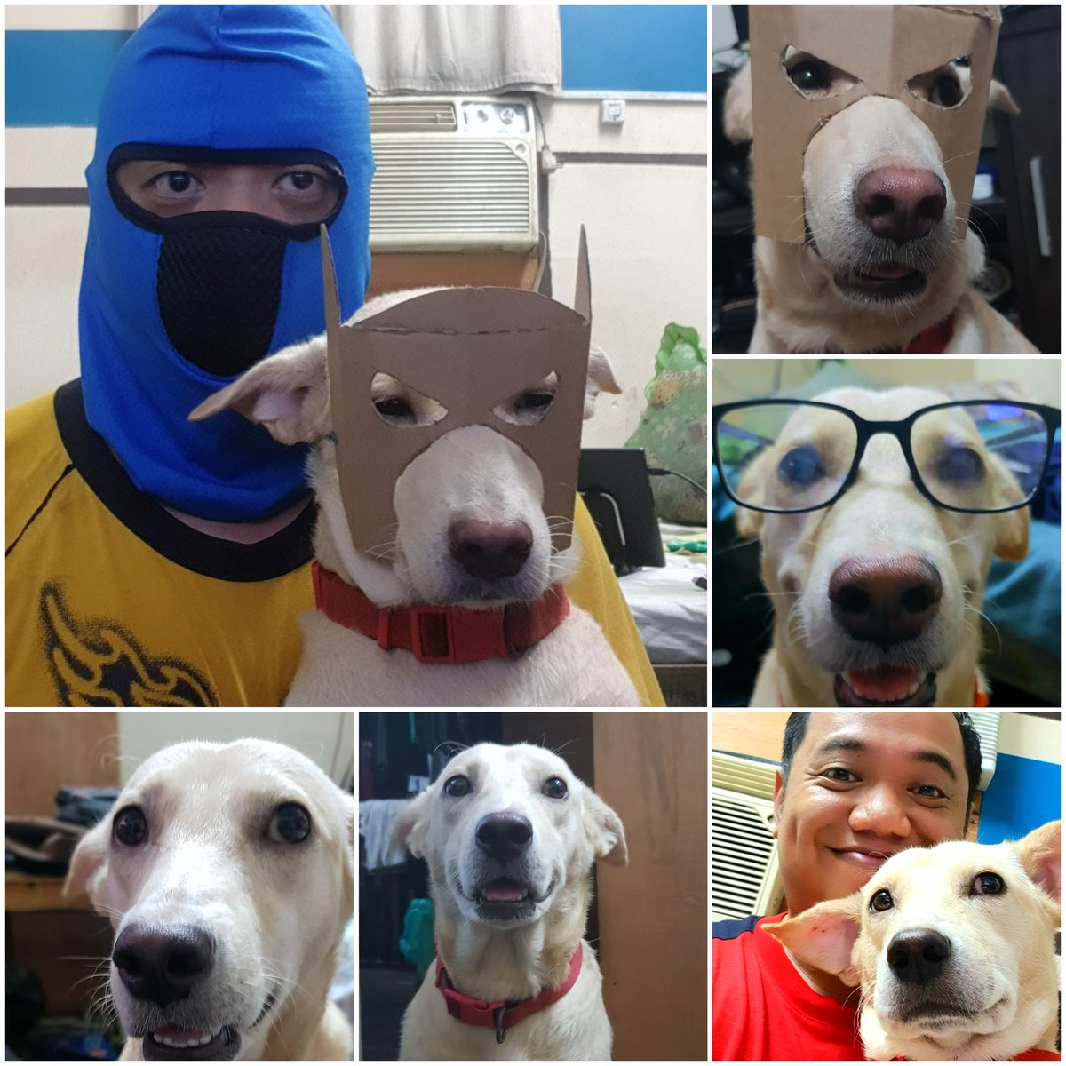 TeyBernardo's tweet photo. You were my best friend, my number 1 fan and my all time companion. I will miss you and I love you. Until we meet again.. #doglovers https://t.co/FzHwcYuDRV