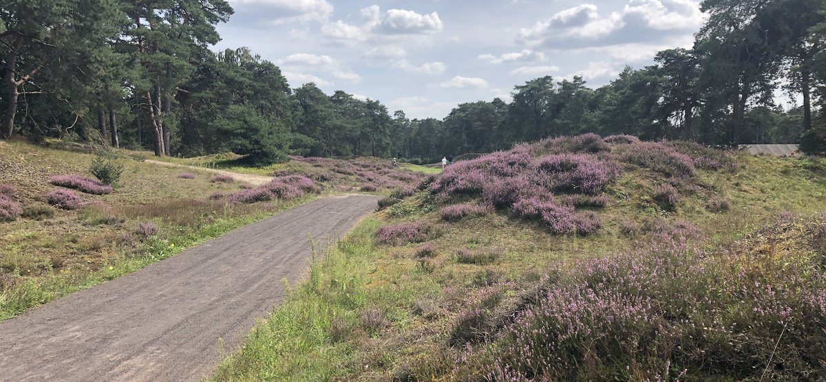 GOLF.NL ⛳️ tweet media