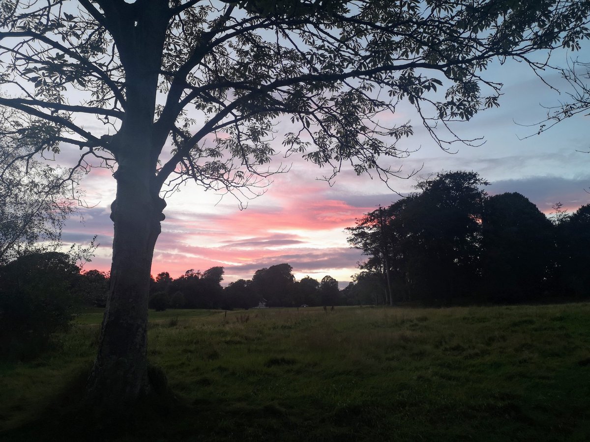 info_specific's tweet image. 🌇 We've had some lovely sunsets this week - here's the view from Singleton Park, next to the @SwanseaUni campus.

📸 #SolarSnaps