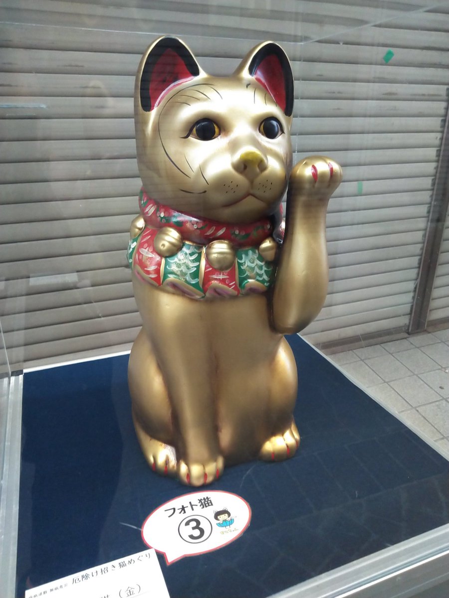 猫カフェ にゃーにゃーにゃー 明日から始まる厄除け招き猫めぐり 瀬戸市の街がまるっと博物館に 明治大正期瀬戸焼招き猫 が並んでおり 赤や黒の魔除け厄除け招き猫が多いようです 計30ほど出てるそうです 当店の壁に鎮座する招き猫も瀬戸焼です