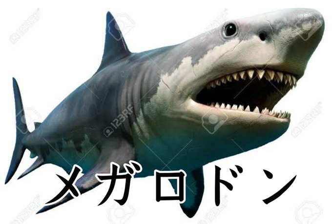 メガロドンのtwitterイラスト検索結果