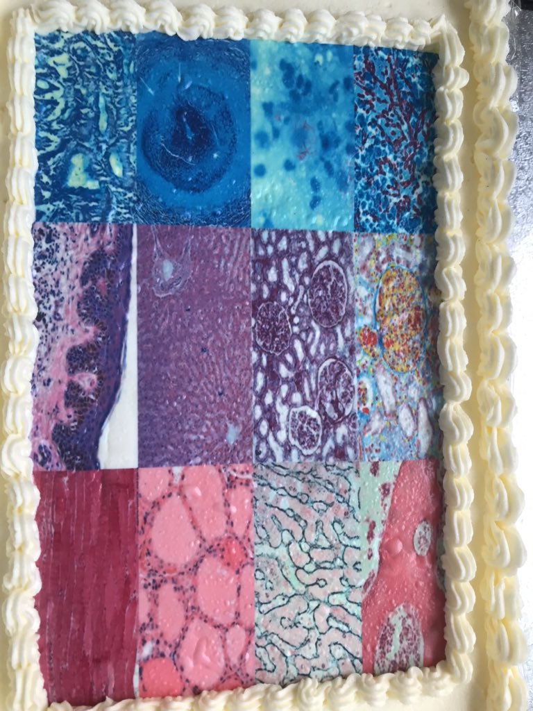 CellularRDE's tweet photo. Happy Retirement Cathy, your legendary cakes will be missed 👩🏼‍🔬 https://t.co/pJKTpJkQ2l