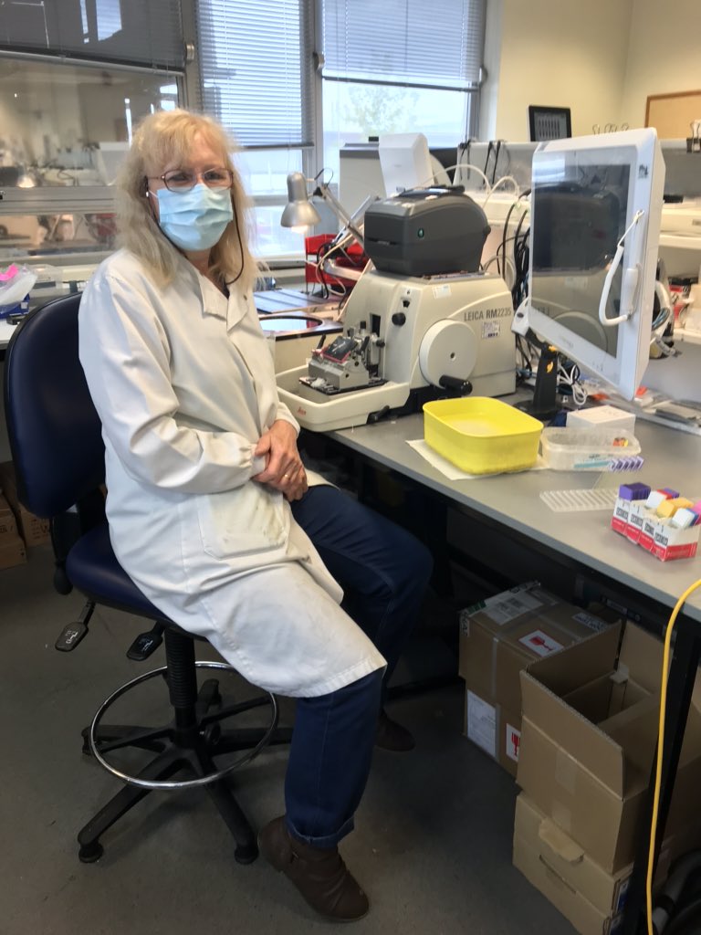 CellularRDE's tweet photo. Happy Retirement Cathy, your legendary cakes will be missed 👩🏼‍🔬 https://t.co/pJKTpJkQ2l