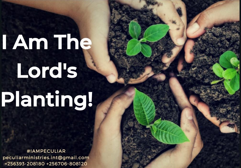 TynahNancy's tweet photo. #SimpleDepths
#ThePactOfTwo
THE LORD'S TENDER PLANTING👇
https://t.co/awft7CWV8I
#IamPeculiar #IamSuperntural
#FridayFeeling #Bitcoin https://t.co/O9khxMXAE6